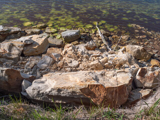 baltic sea in summer