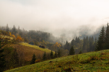 Colorful autumn morning in the Carpathian mountains. Sokilsky ridge