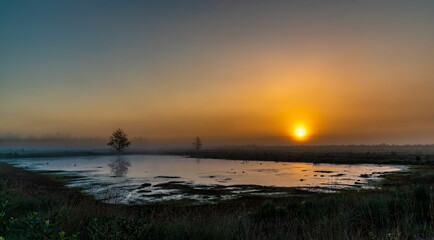 Sonnenaufgang im Moor.