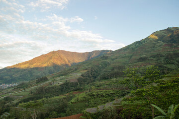 the fresh view of the morning at the top of the mountain during the rainy season