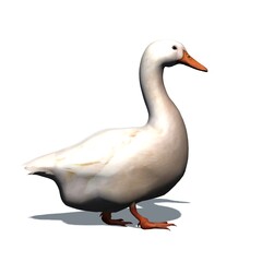 Farm animals - white goose with shadow on the floor - isolated on white background - 3D illustration