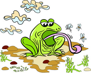 frog with a long tongue in a swamp with midges