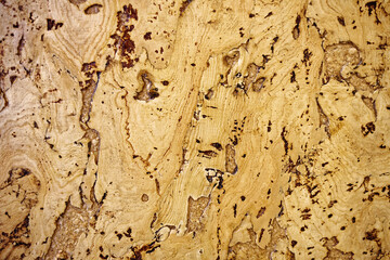 The texture of a cork tree. Empty yellow surface with cracks. Abstract background close-up.