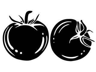 Tomatoes. black and white drawing. vector graphics in simple style. silhouette of vegetables