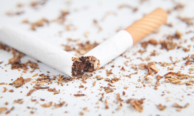 Macro. Broken cigarette. Stop  Smoking