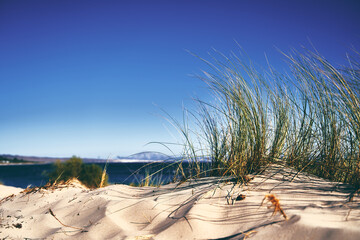 Closeup shot of Valdevaqueros dune with the view of Tarifa and Africa