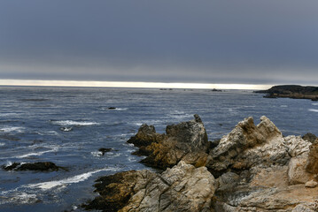 Bird Island - Point Lobos, California