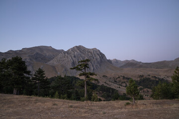 Fototapeta premium Scenic View Of Mountains, Pine Trees at foreground Against Clear Blue Morning Sky in Plateau Melıkler Isparta Turkey