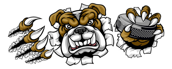 A bulldog ice hockey player animal sports mascot holding a hockey puck
