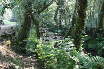 beautiful panoramic view of the river on the walk through the monte de galicia
