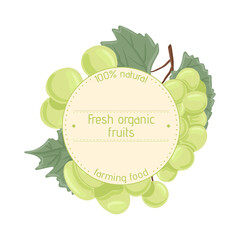 Wine grapes, table grapes vector hand drawn logotype design. Fresh berries on branch with leaves.