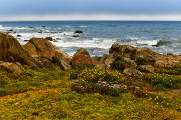 Spanish Bay - Pebble Beach, California