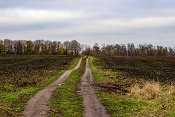 country road in autumn