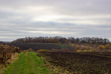 landscape with sky and grass