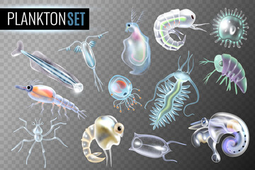 Plankton Transparent Set - obrazy, fototapety, plakaty