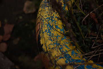 Autumn abstract evening photo