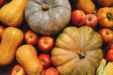 Pumpkins and red apples on wooden background