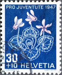 Switzerland - Circa 1947 : a postage stamp printed in the swiss showing a cyclamen plant (Cyclamen...