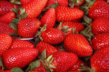 strawberries close up. strawberry harvest. selective focus