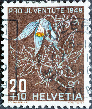 Switzerland - Circa 1949 : a postage stamp printed in the swiss showing an alpine forest vine plant (Clematis alpina Ranunculaceae)