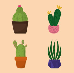 set of icons potted cactus decoration garden