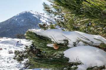 A snowy, sunny day on the Spil mountain, Manisa.