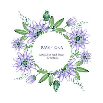Frame with watercolor passiflora. Passion flower arrangement. Hand drawn illustration of purple blossom. Botanical border for packaging, logo, label design.