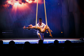 Aerialist perform live in the show.