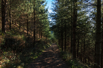 view of rocky mountains in the basque country