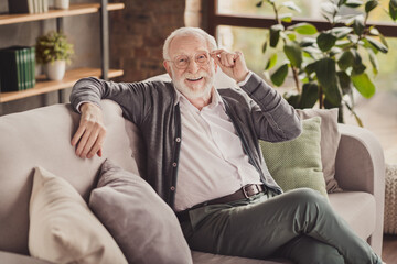 Fototapeta premium Photo of handsome pensioner wear grey cardigan smiling arm glasses sitting couch indoors house flat