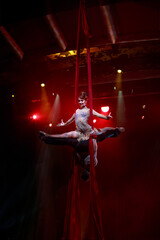 Aerialist perform live in the show.