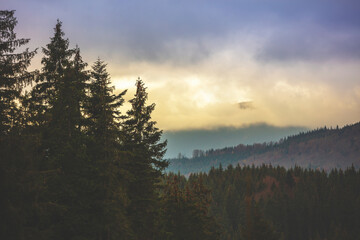 Autumn in the mountains. View of the mountains ridge at sunset. Beautiful nature landscape. Carpathian mountains. Zakarpattia Oblast, Ukraine