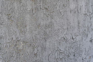 Wall with old cracked gray paint. Rough texture abstract background