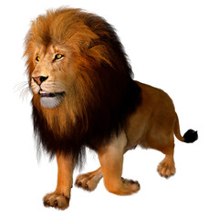 3D Rendering Male Lion on White