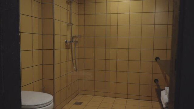 Interiors Of Clean Comfortable Bathroom In Hotel Room. Modern-styled Sink, Shower And Water Closet In Hostel. No People. Tourism And Travelling Concept.