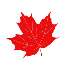 Maple leaf