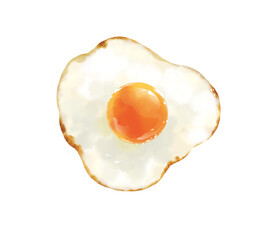 リアルな目玉焼きのイラスト素材
