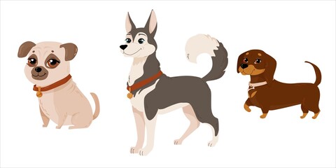 Set of cute dogs of different colors. Husky, pug and brown dachshund. Puppy drawn in cartoon style. Pets. Dog breeds. illustration isolated on white background