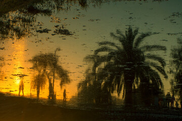 Parque palmeras reflejo playa amor romance surreal agua