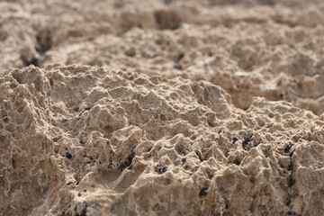 Textured relief stone surface. The result of erosion.