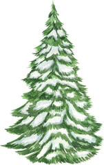 Watercolor christmas illustration. Watercolor Christmas tree with snow. 
