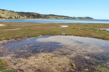 littoral at kingscote on kangaroo island (australia)