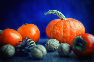 Orange pumpkin on a blue background with walnuts and persimmons