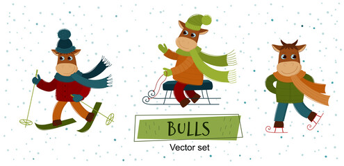 Vector Set of bulls. Funny bulls play winter games: skiing,  sledding, ice skating. The bull is a symbol of the new year 2021.