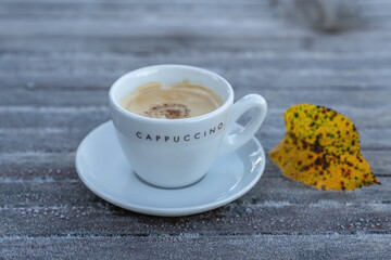Frosty morning with coffee outside. White cup of cappuccino on a frozen rustic wooden table. Freshly fall winter background.