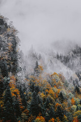 Mountain slope with autumnal colors and fog during autumn in the Vall de Aran in Catalonia
