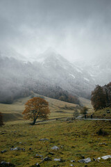 Mountain slope with autumnal colors and fog during autumn in the Vall de Aran in Catalonia