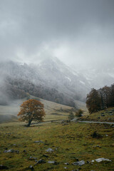 Mountain slope with autumnal colors and fog during autumn in the Vall de Aran in Catalonia