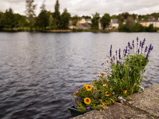 Flowers in front of lake in Huelgoat