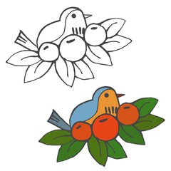Cute hand drawn robin and berries. Small doodle bird in leaves. Vector illustration.